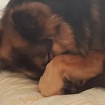 Lynne Webb Kaiser - @lynnewebbkaiser - Instagram