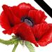 Lynne M Whiting - Facebook