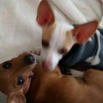 Sally Lynne Wiley-Perez - @sally.lynne.wiley - Instagram