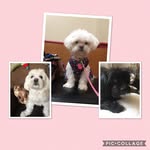 Lynne - @lynne_windsor - Instagram
