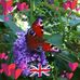 Lynne Windsor - Facebook