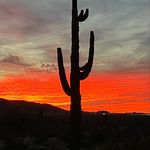 Lynne Smith Yates - @yates.lynne - Instagram