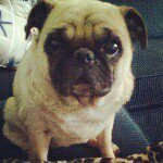 Lynnea Johnson Weitz - @swtpotato38 - Instagram
