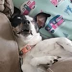 Lynnette Adams - @lynna0809 - Instagram