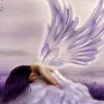 Lynnette Anderson - @natureismychurch - Instagram