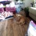 Lynnette Appleton - Facebook