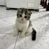 lynnettebarnes925 - @lynnettebarnes925 - TikTok