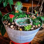 Lynette Wright Christensen - @gogisgardens - Instagram