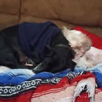 Jerry N Lynnette Dale - Facebook