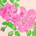 Lynnette Delgado - Facebook