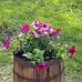 Lynette Gray - Facebook