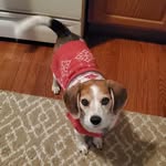 Lynnette Harrison Kuszak-Puchalsky - @lynnettekuszak - Instagram