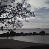 Lynnette Hernandez - @lynnette.hernande6 - TikTok