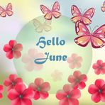 Lynnette Hines - Facebook
