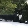 Lynette Hudson - @lynette.hudson6 - TikTok