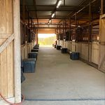 Lynnette Hudson - @hudsonheritageranch - Instagram