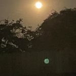 Lynnette Hudson Selzer - @lynnetteselzer - Instagram