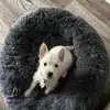 Lynette Lawrence-Kirk - @lynette.lawrencek - TikTok