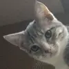 Lynnette Lowe Carter - @lynnette.lowe.car - TikTok