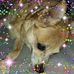 Lynette Marshall - Facebook