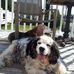 Lynnette Mitchell - Facebook