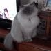 Lynnette Murray - Facebook