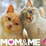 Lynette Myers - @crankypooh - Instagram