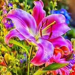 Lynette Porter-Tinnel - @lynette1371 - Instagram