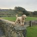 Lynnette Rayner - Facebook