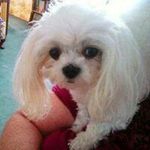 Lynnette Russell - @lynnetterussell475yahoo.com_ - Instagram