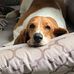 Lynnette Smith - Facebook