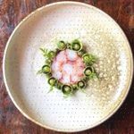 Daniela Friebel - @lynnettesteinbauer888 - Instagram