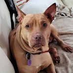 Lynnette Turner - Facebook