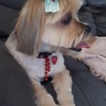 Lynnette Warren - @lynnette1089 - Instagram