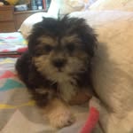 Lynnette Watson - @lynnette.watson.98 - Instagram