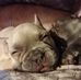 Lynette Webb - Facebook