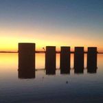 Lynnette Bell Webb - @lynn03webb - Instagram
