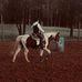 Lyndie Smith - Facebook