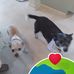 Lynne Morrissey - Facebook