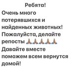 @lyra.davis.8025857 - Instagram