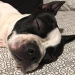 Lyra Davis - @bugeyedbostonbeauty - Instagram