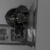 lyradavis3 - @lyradavis3 - TikTok