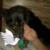 Sandra Lyra Vargas - @sandralyravargas - TikTok