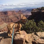 Mabel Ashley - @travelgirlmabel - Instagram