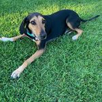 Mabel Bacon - @mabel_bacon_ - Instagram
