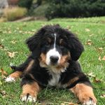 Mabel Bacon - @itsmabelbacon - Instagram