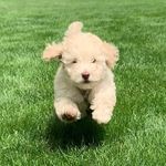 Mabel Bacon Hain - @mabelbaconhain - Instagram