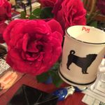 Mabel Bailey - @pugsmom13 - Instagram