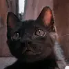 Mabel - @mabelballesteros_ - TikTok