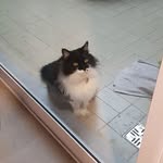 Mabel Barbero Barbero - @mabelbarberobarbero - Instagram